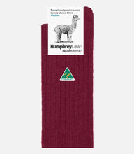 Load image into Gallery viewer, Socks - Alpaca Health Sock - Berry