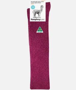 Socks - Alpaca Knee High - Berry