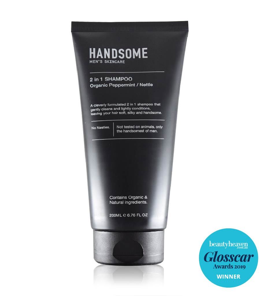 Handsome - 2 in 1 Shampoo