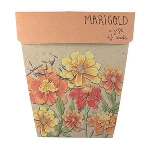 Gifts of Seeds Cards - Marigolds